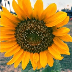 Meet your Posher, Kristi